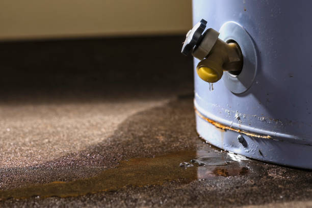 Best Water damage restoration near me  in Belle Rose, LA