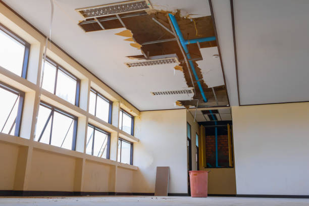  Belle Rose, LA Water damage restoration Pros