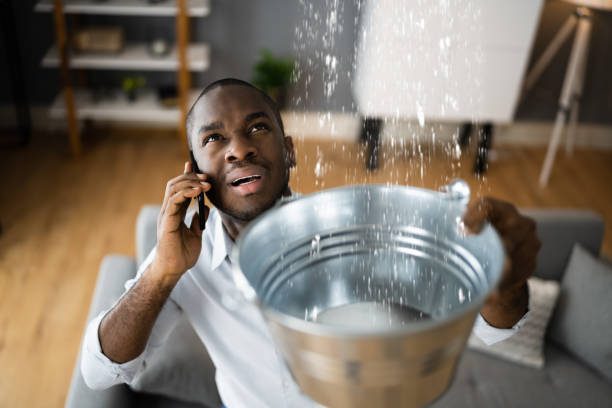 Professional Water damage restoration in Belle Rose, LA