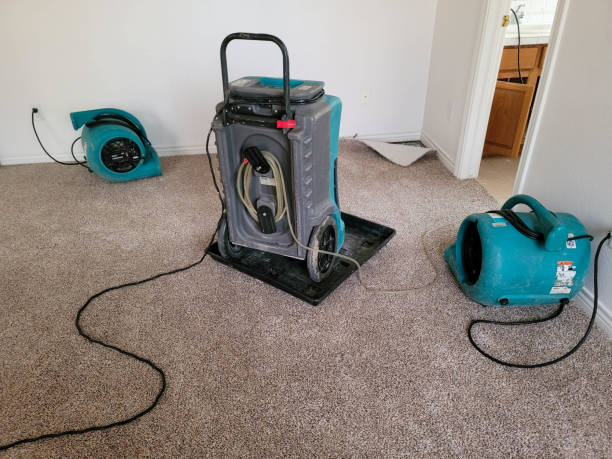 Best Fire Damage Restoration  in Belle Rose, LA