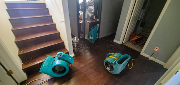 Water damage restoration mold remediation in Belle Rose, LA