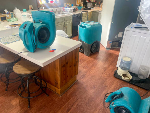 Best Emergency water damage restoration  in Belle Rose, LA