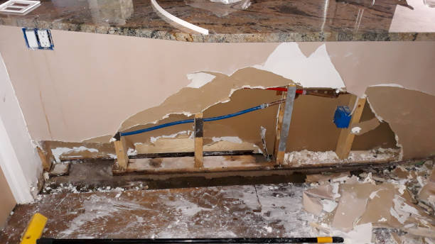 Best Local water damage restoration  in Belle Rose, LA