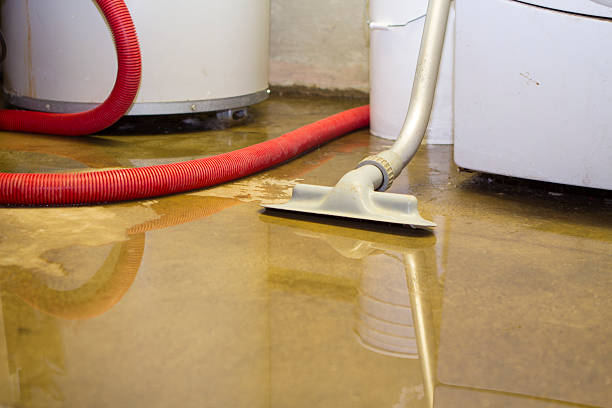 Best Professional water damage repair  in Belle Rose, LA