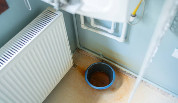 Best Water damage restoration cost  in Belle Rose, LA