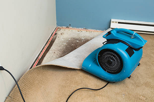 Best Residential water damage restoration  in Belle Rose, LA